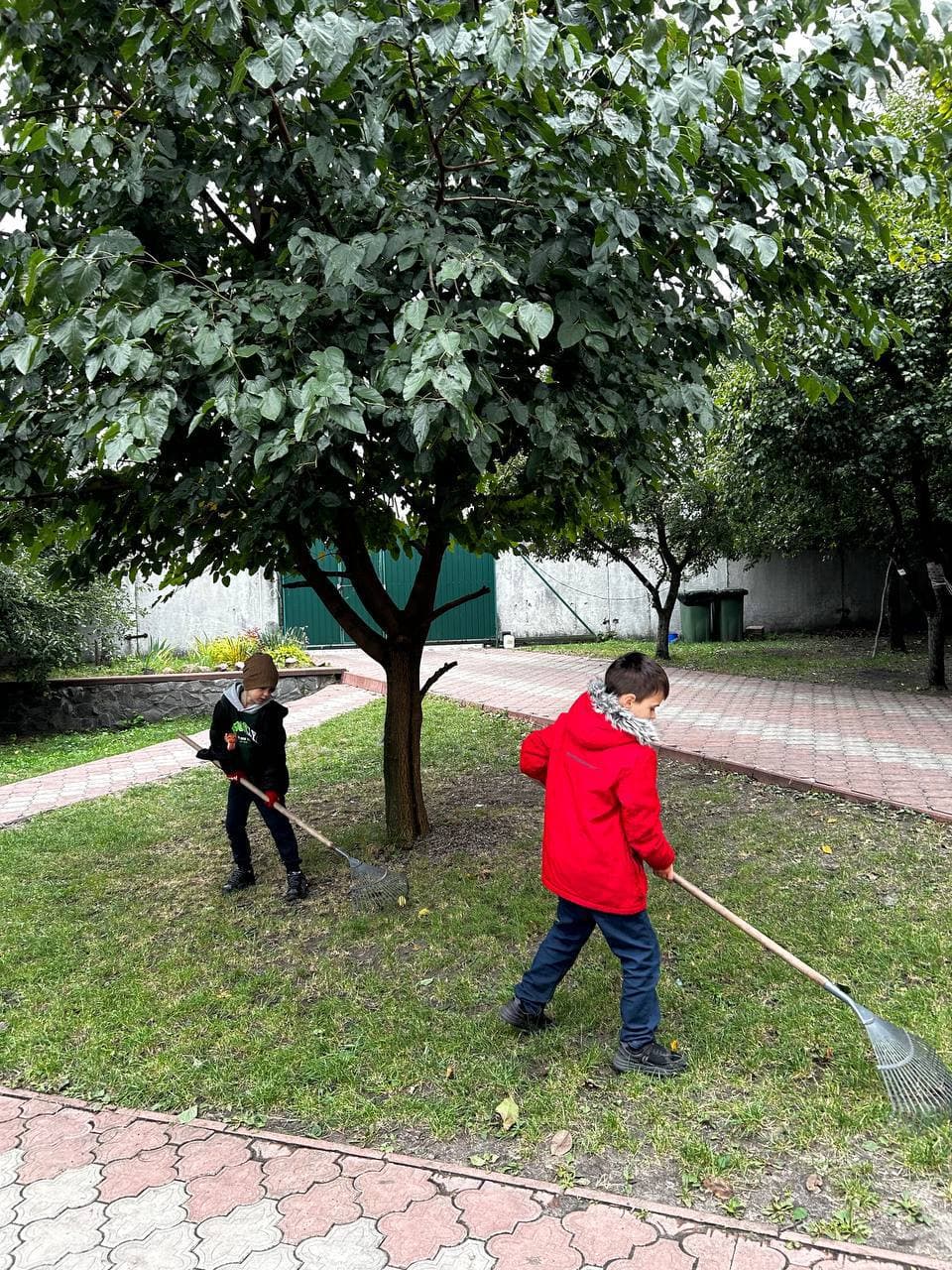 Рух, дисципліна, живі заняття, досліди, практична школа