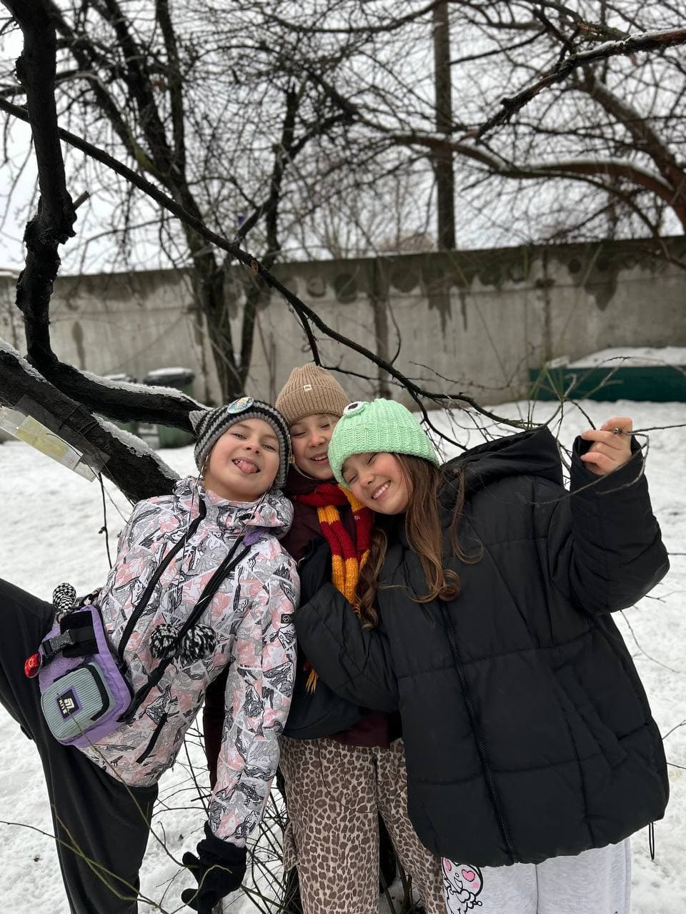 Рух, дисципліна, живі заняття, досліди, практична школа